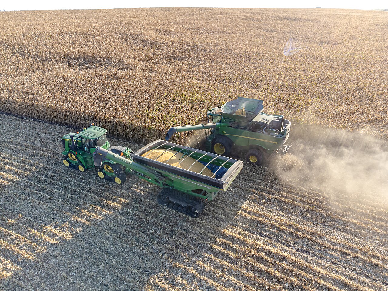 Combine harvester