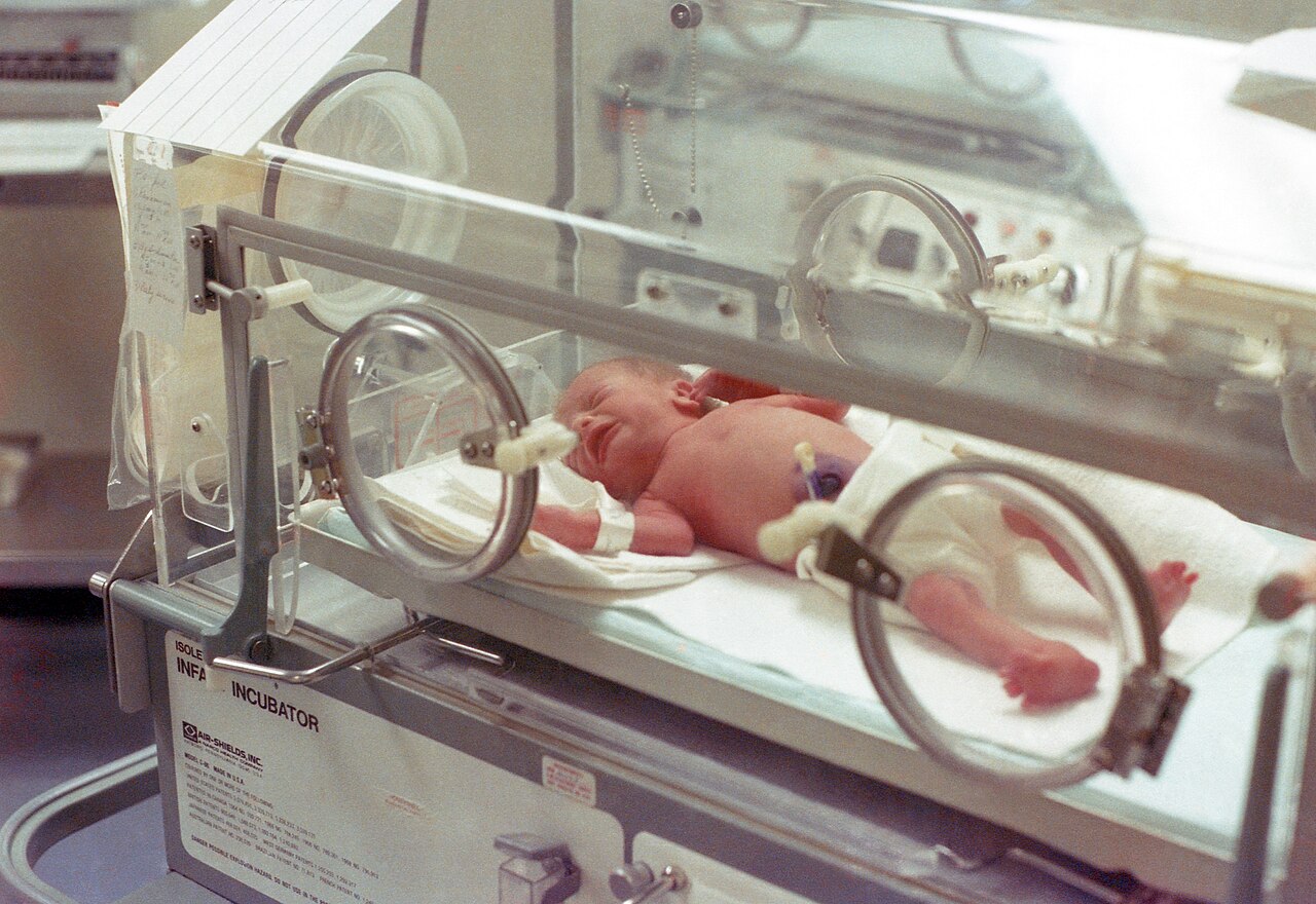 Neonatal incubator