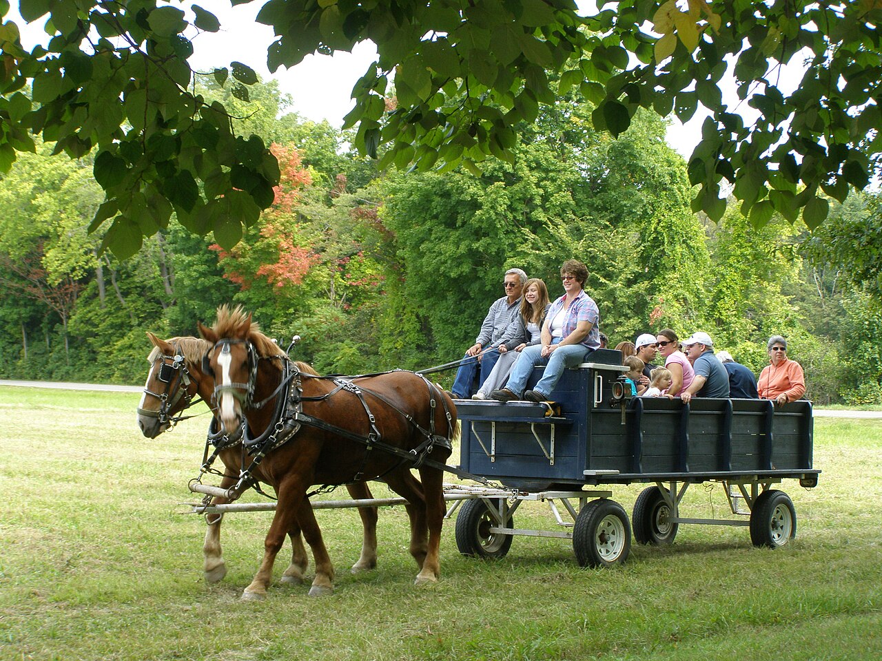 Wagon